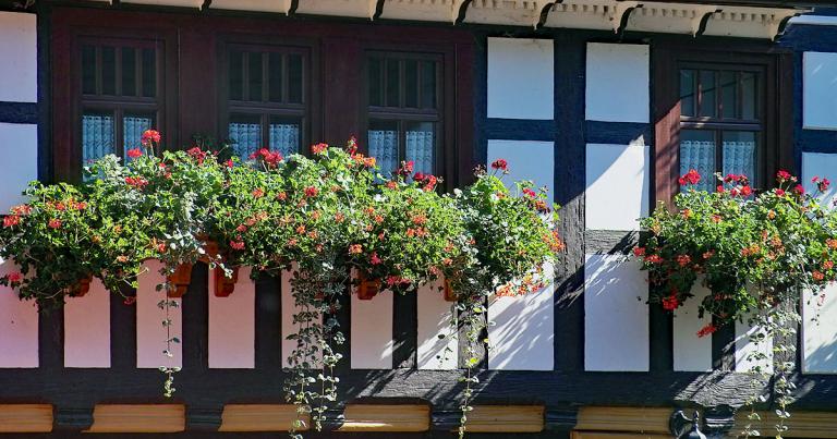 Fachwerk-Idylle mit Blumen
